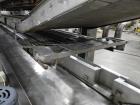 Convenience Food Systems Fryer